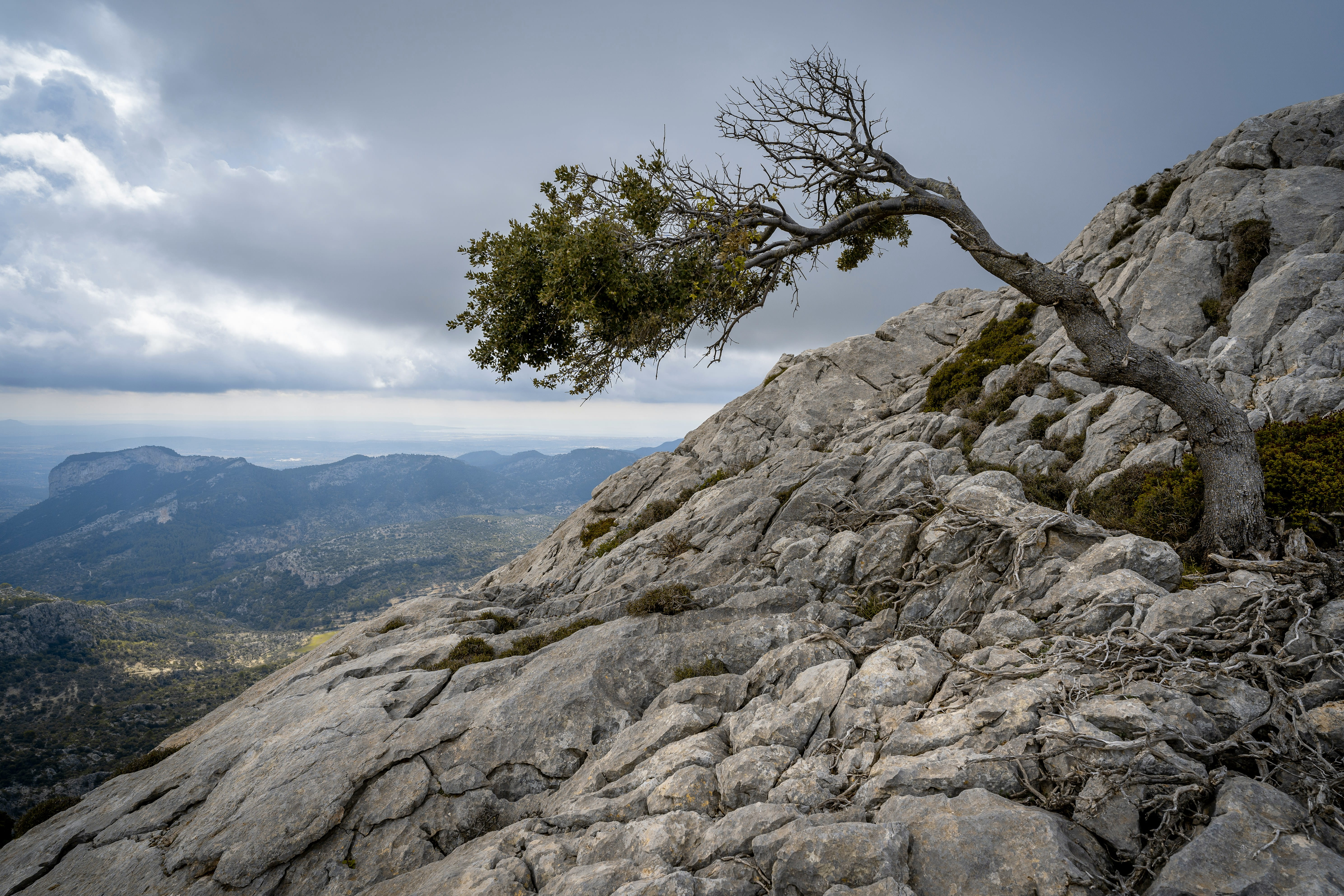What Is Enterprise Resilience? Definition & Frameworks